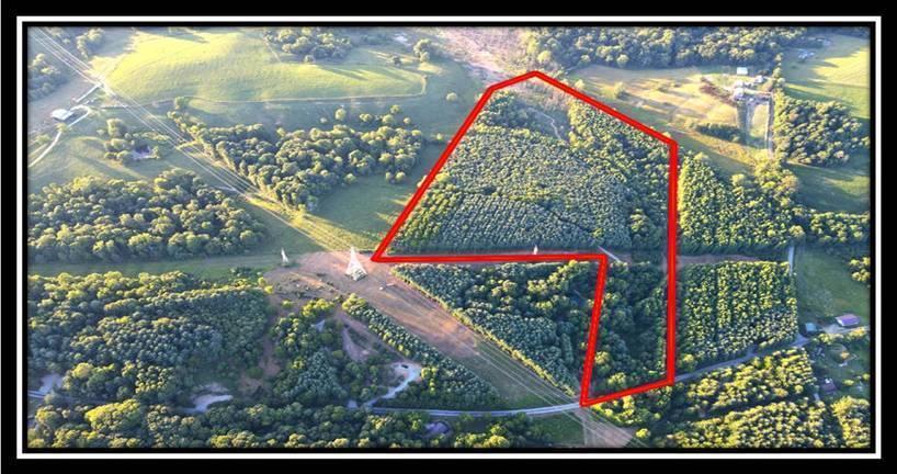 2998 Mainesville Road West Junction City, OH 43748 - Photo 13 of 48