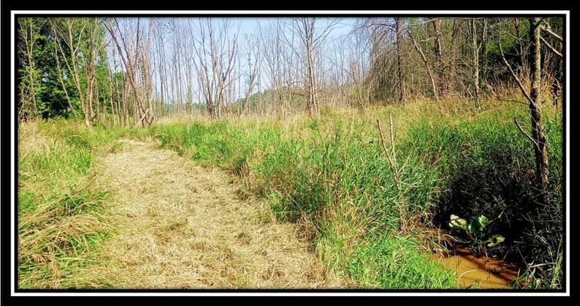 2998 Mainesville Road West Junction City, OH 43748 - Photo 14 of 48