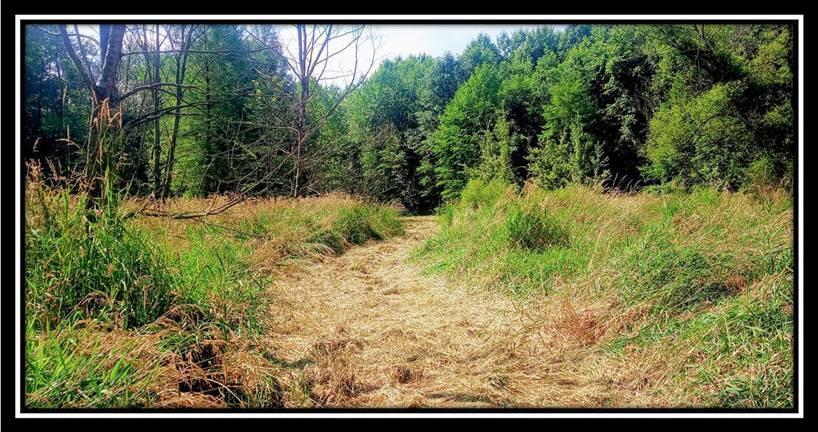 2998 Mainesville Road West Junction City, OH 43748 - Photo 15 of 48