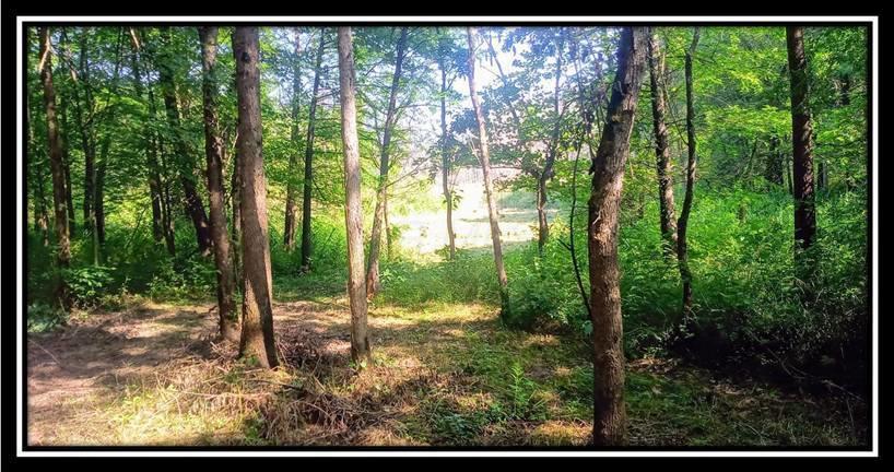 2998 Mainesville Road West Junction City, OH 43748 - Photo 16 of 48