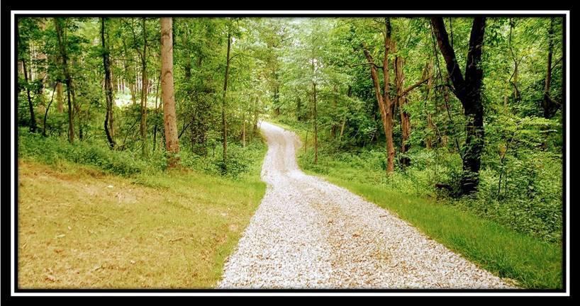 2998 Mainesville Road West Junction City, OH 43748 - Photo 20 of 48