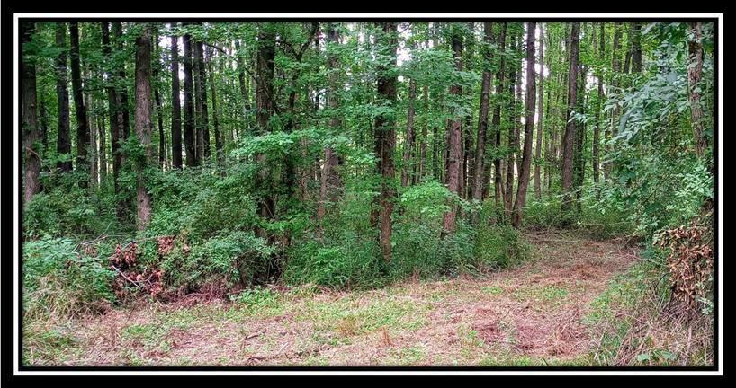 2998 Mainesville Road West Junction City, OH 43748 - Photo 21 of 48