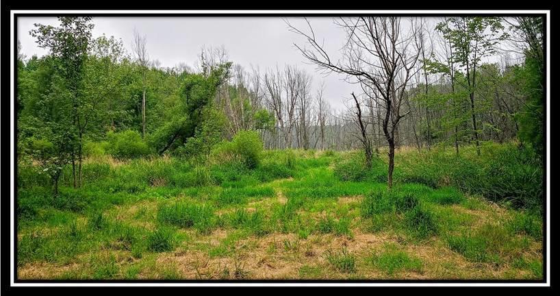 2998 Mainesville Road West Junction City, OH 43748 - Photo 23 of 48