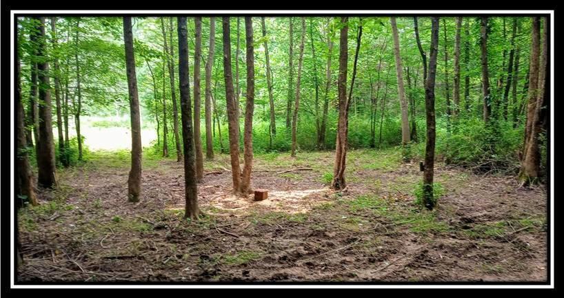 2998 Mainesville Road West Junction City, OH 43748 - Photo 31 of 48