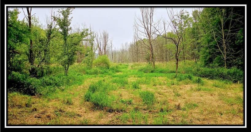 2998 Mainesville Road West Junction City, OH 43748 - Photo 32 of 48