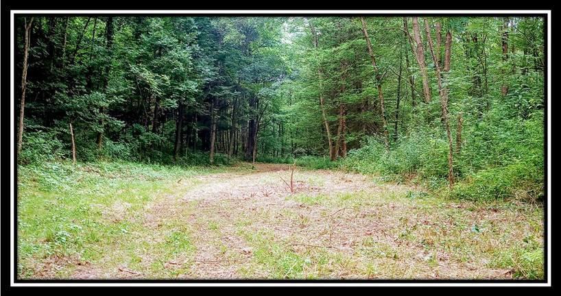 2998 Mainesville Road West Junction City, OH 43748 - Photo 34 of 48