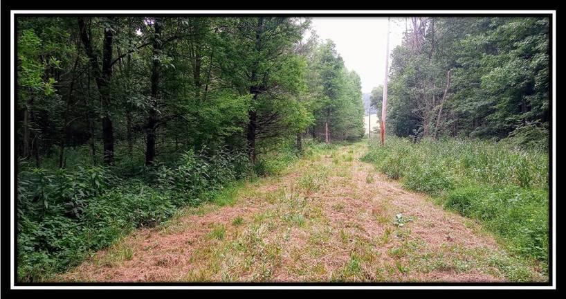 2998 Mainesville Road West Junction City, OH 43748 - Photo 37 of 48