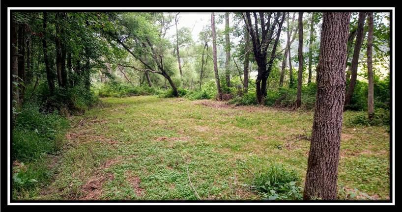 2998 Mainesville Road West Junction City, OH 43748 - Photo 38 of 48