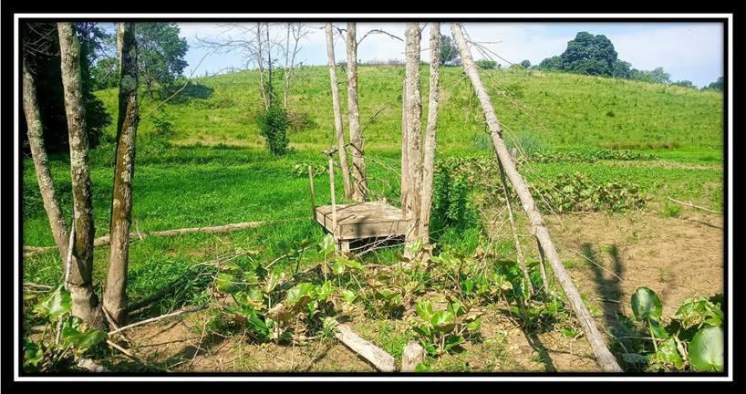 2998 Mainesville Road West Junction City, OH 43748 - Photo 6 of 48