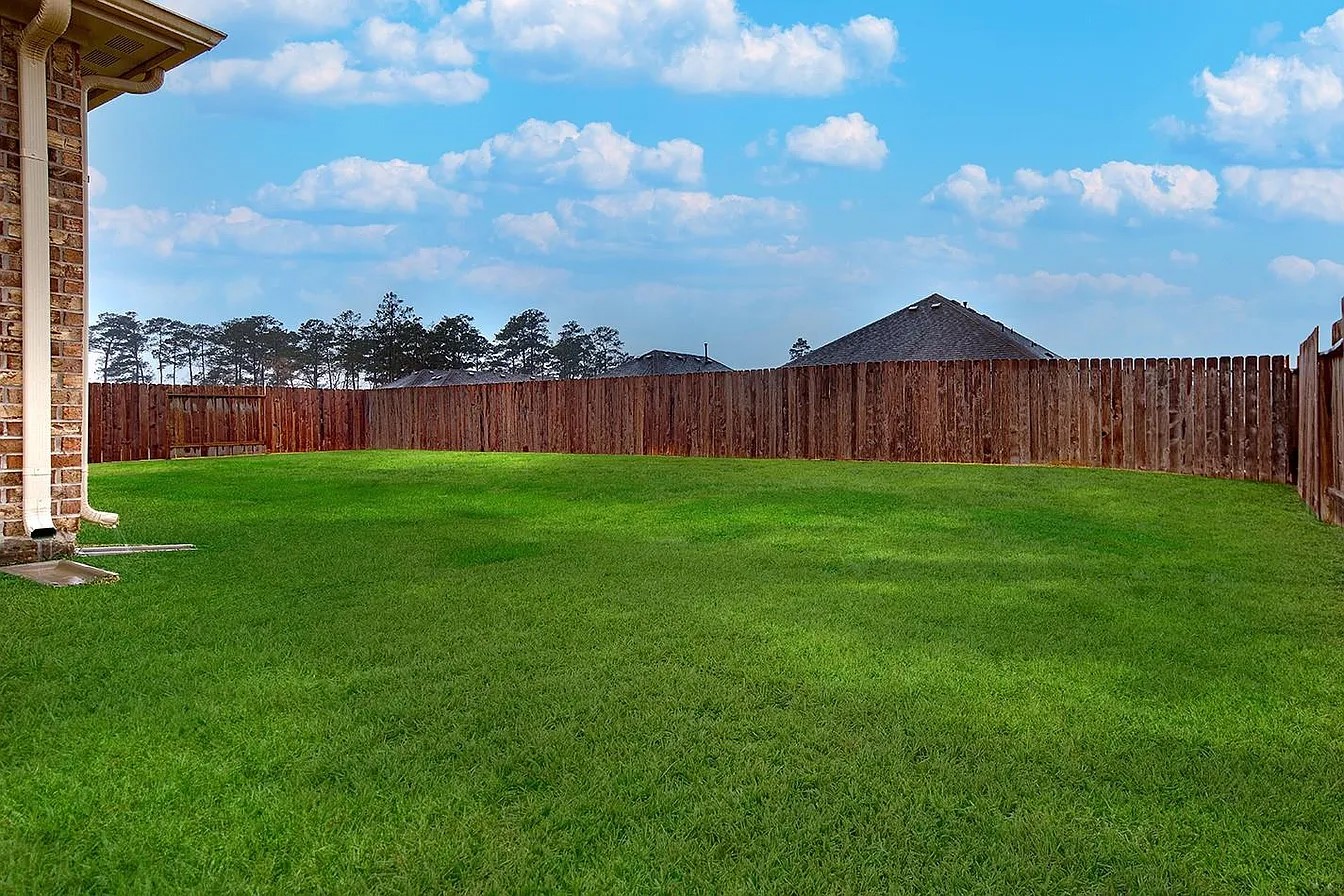 14215 Irvine Rnch Trail Conroe, TX 77384 - Photo 3 of 18