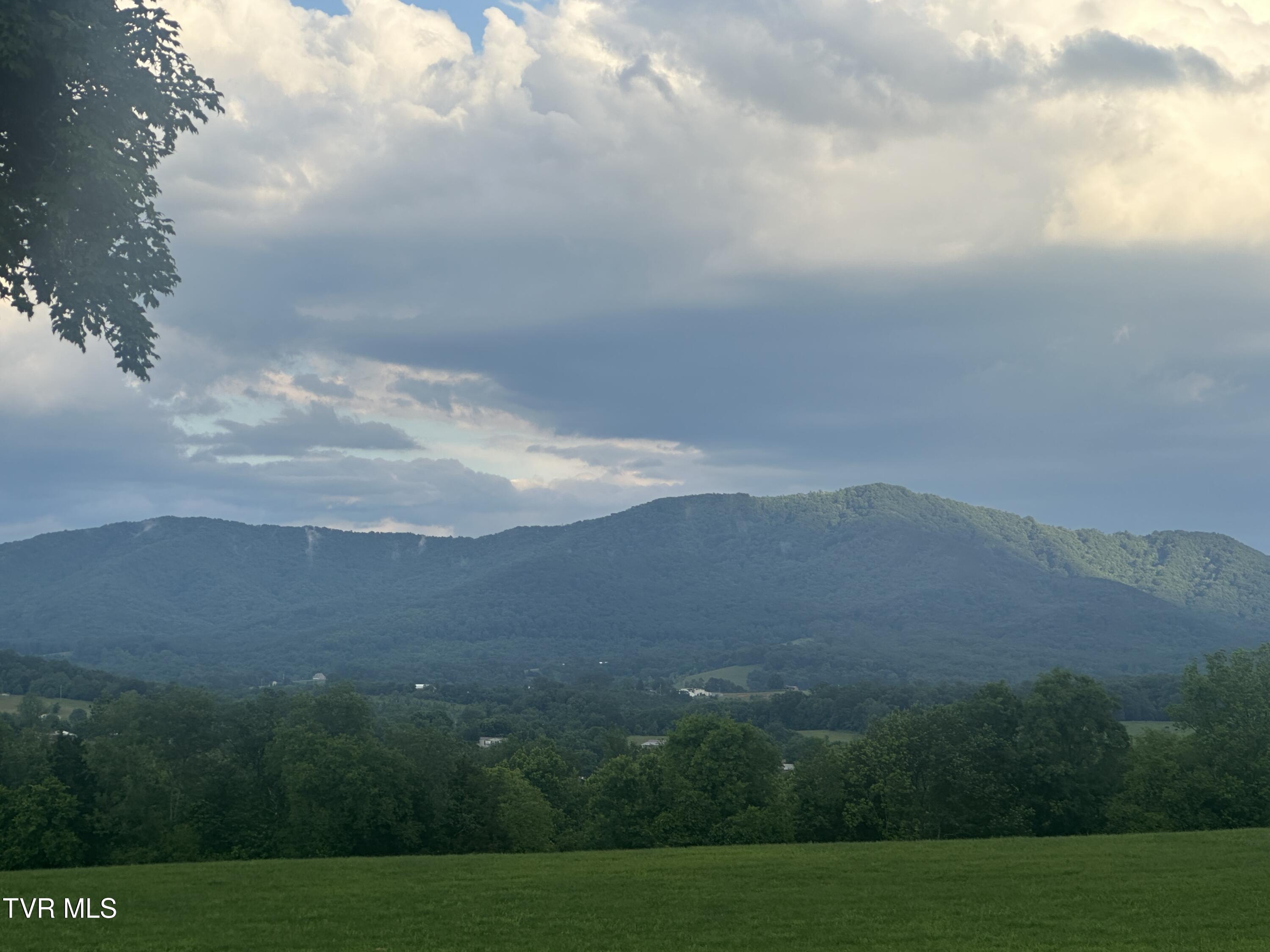 1070 Nolichuckey Road Greeneville, TN 37743 - Photo 61 of 66 IMG_4760