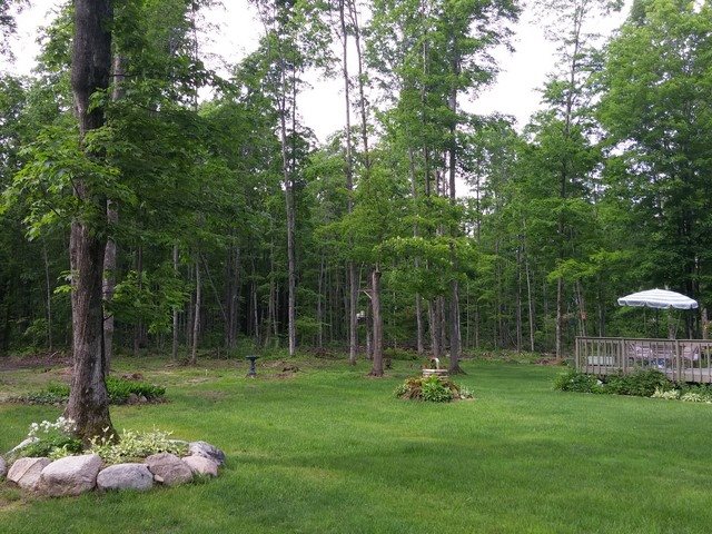 4400 Soderquist Road Mancelona, MI 49659 - Photo 44 of 61 1801697-45.JPG