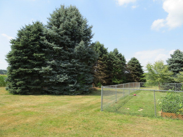 5545 Stauffer Road Morral, OH 43337 - Photo 10 of 26 Gallery Image 10