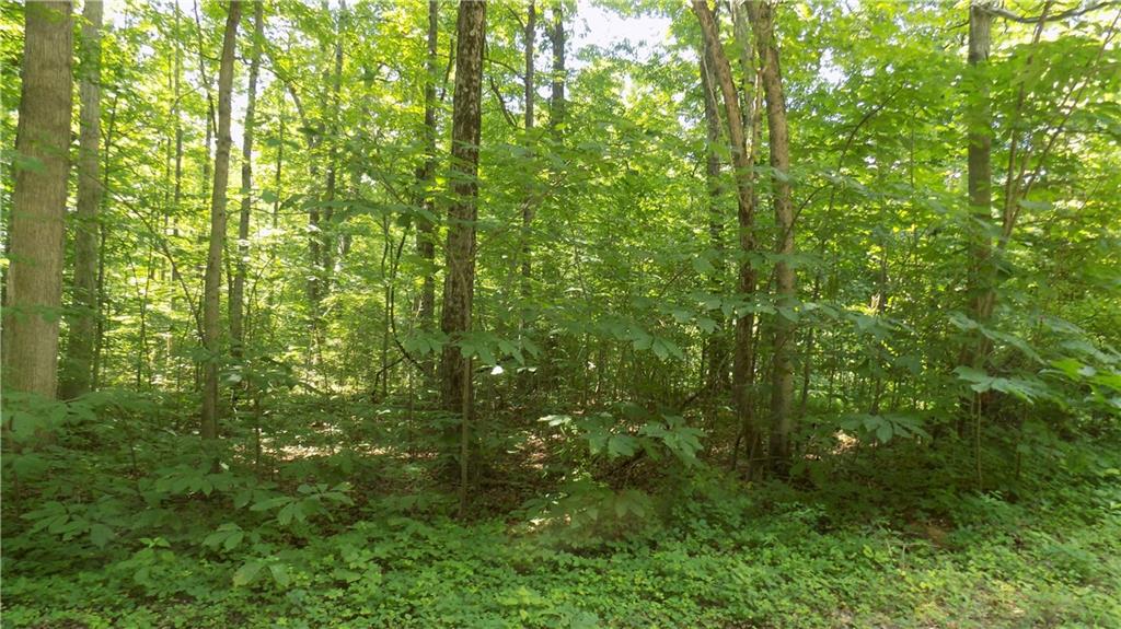 0 550th West Center Point, IN 47840 - Photo 1 of 4