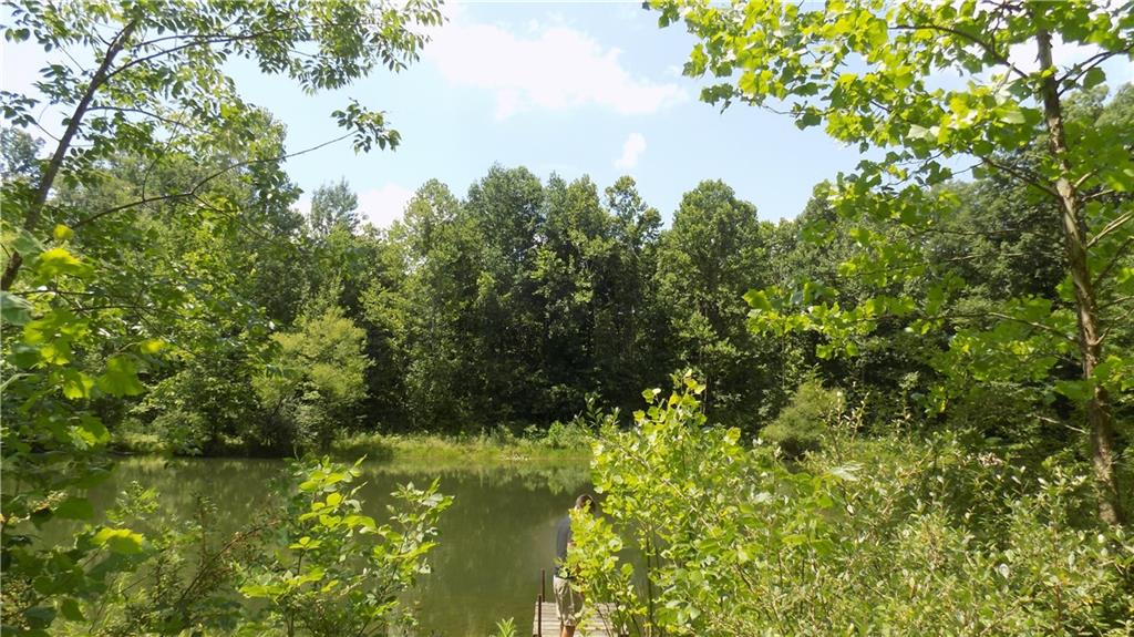 0 550th West Center Point, IN 47840 - Photo 2 of 4