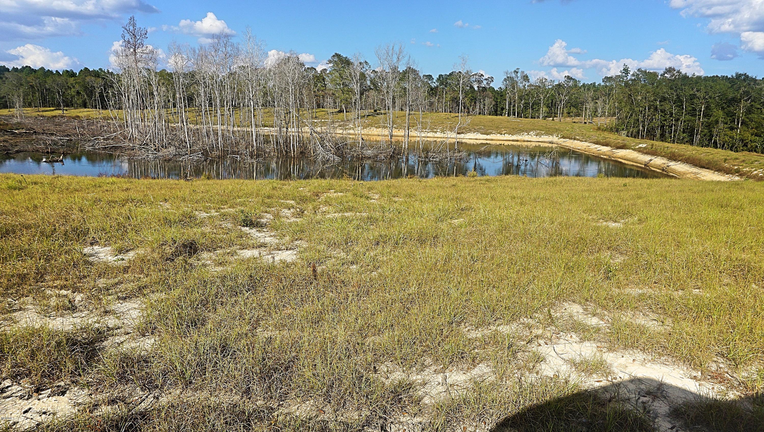 14119 Highway 98 Lucedale, MS 39452 - Photo 11 of 33 DSC02692_Fotor