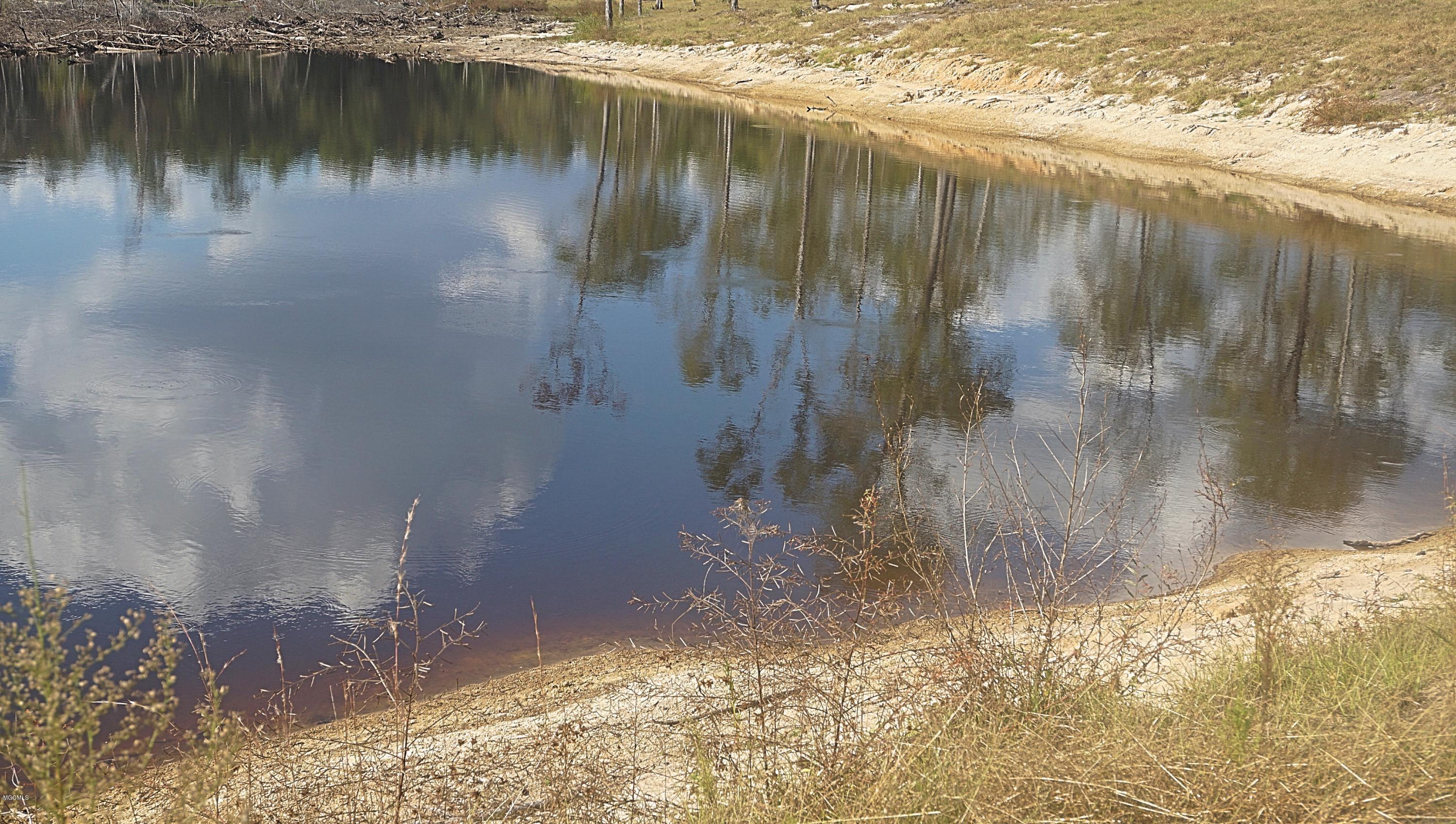 14119 Highway 98 Lucedale, MS 39452 - Photo 15 of 33 DSC02696_Fotor