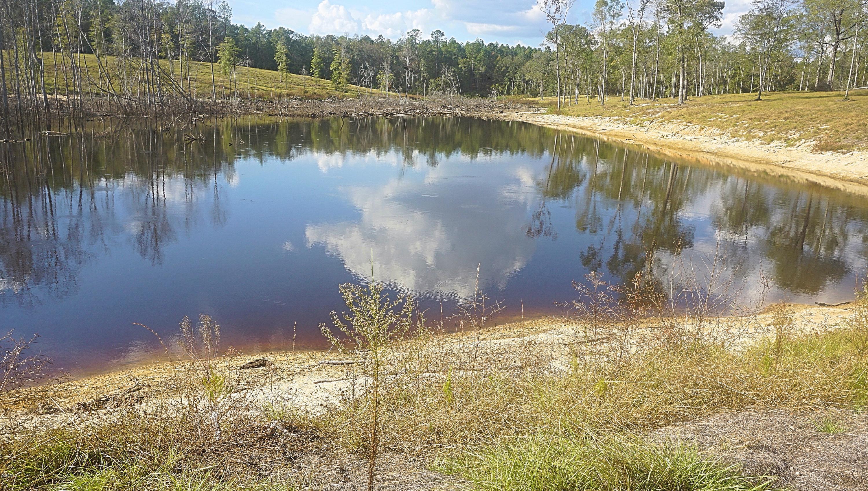 14119 Highway 98 Lucedale, MS 39452 - Photo 16 of 33 DSC02697_Fotor