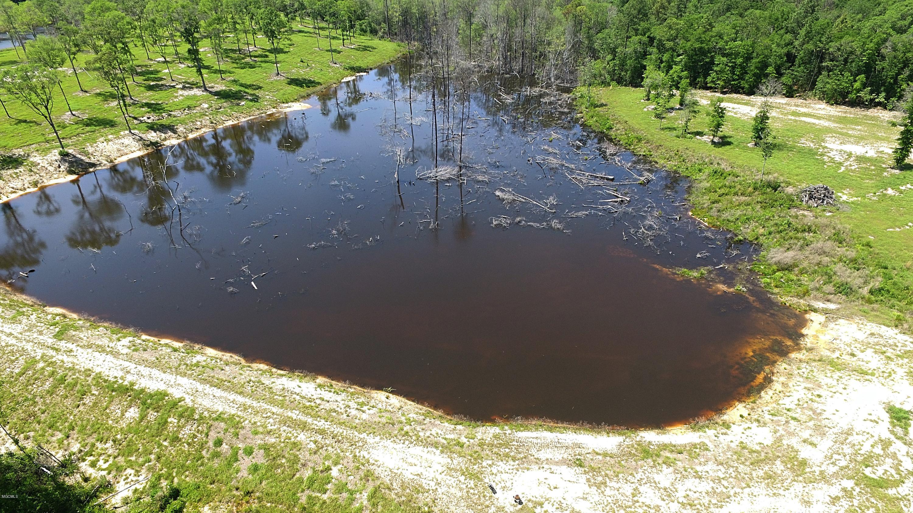 14119 Highway 98 Lucedale, MS 39452 - Photo 19 of 33 DJI_0001_Fotor