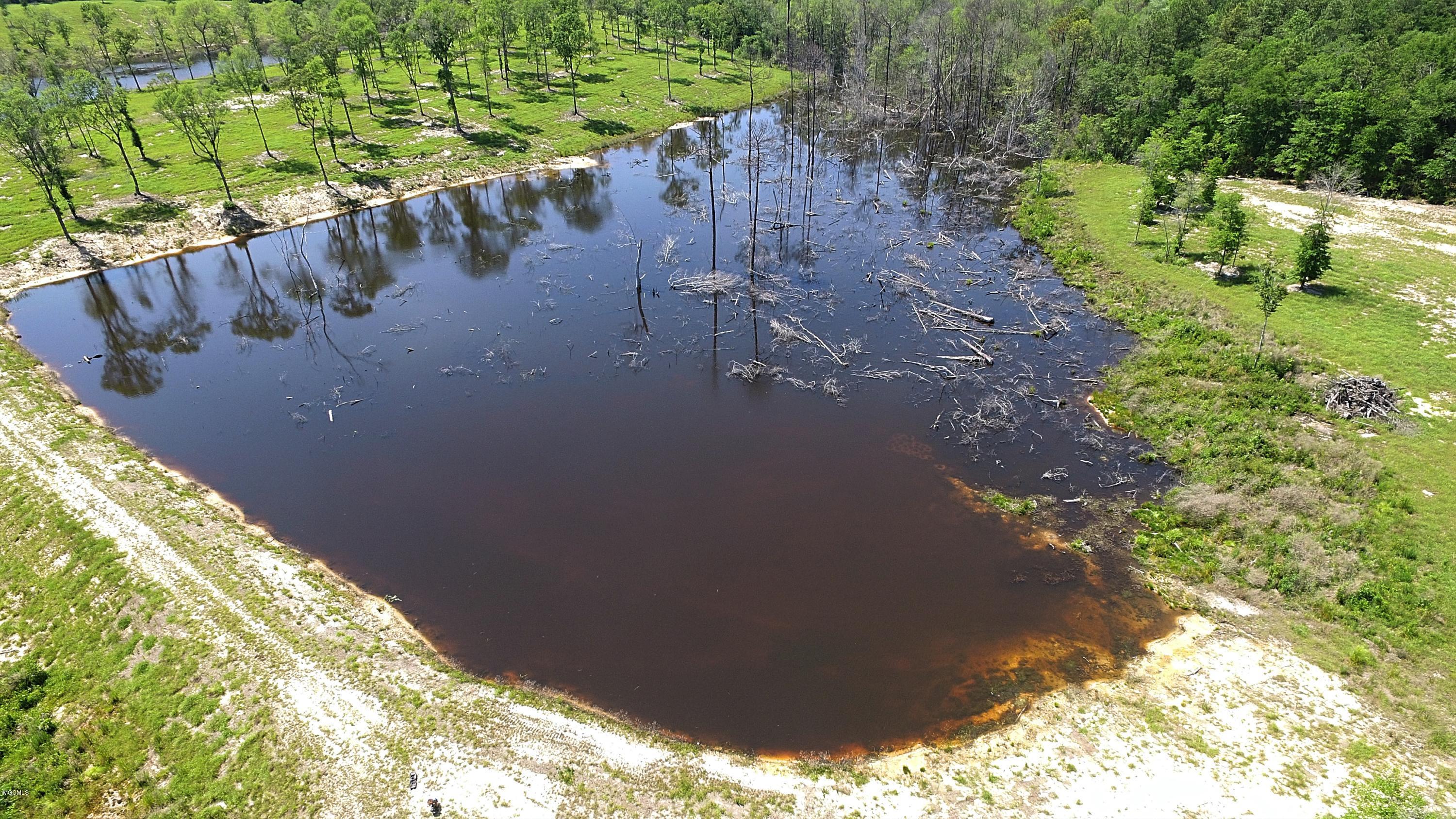 14119 Highway 98 Lucedale, MS 39452 - Photo 20 of 33 DJI_0002_Fotor