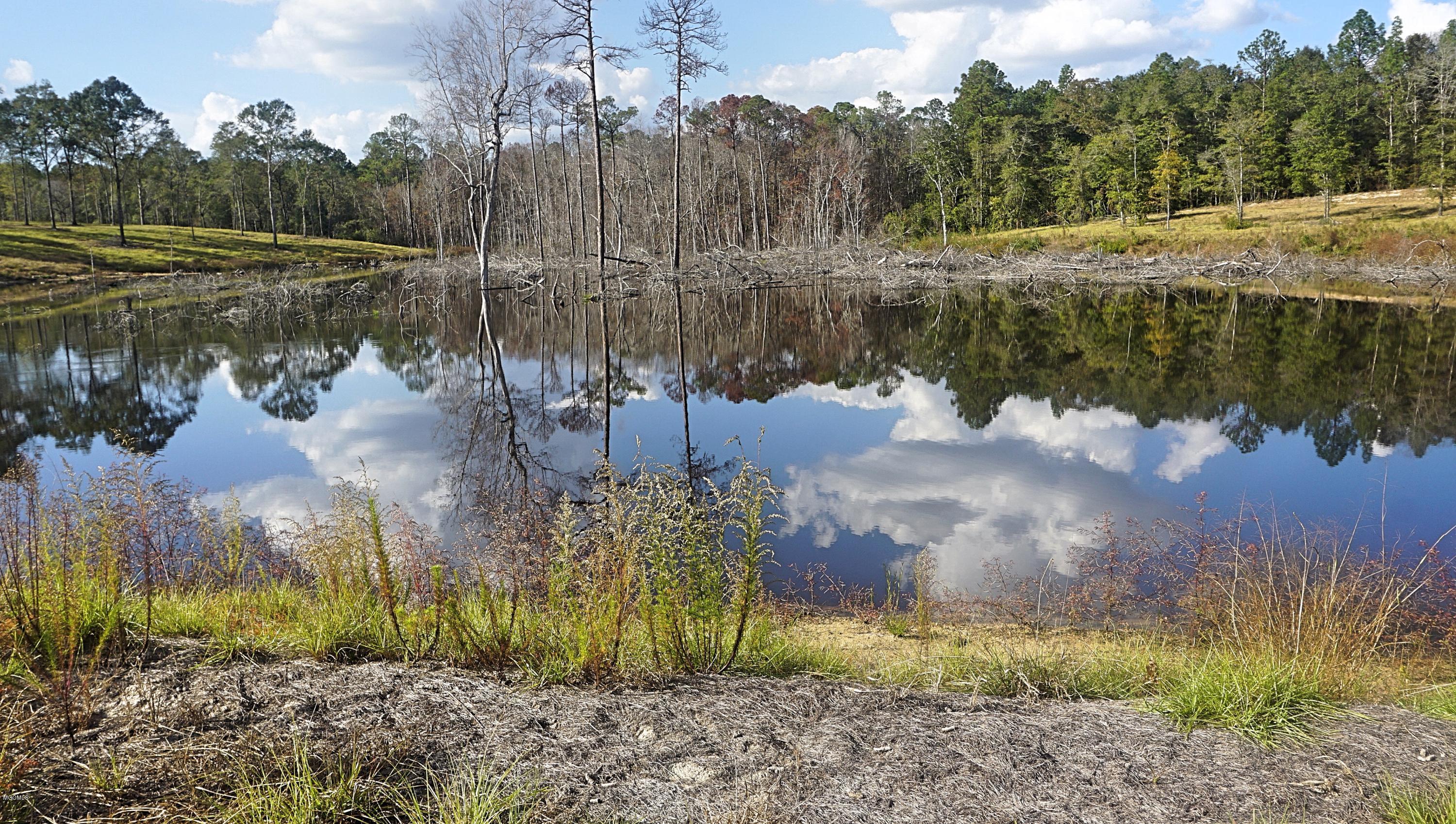 14119 Highway 98 Lucedale, MS 39452 - Photo 2 of 33 DSC02701_Fotor
