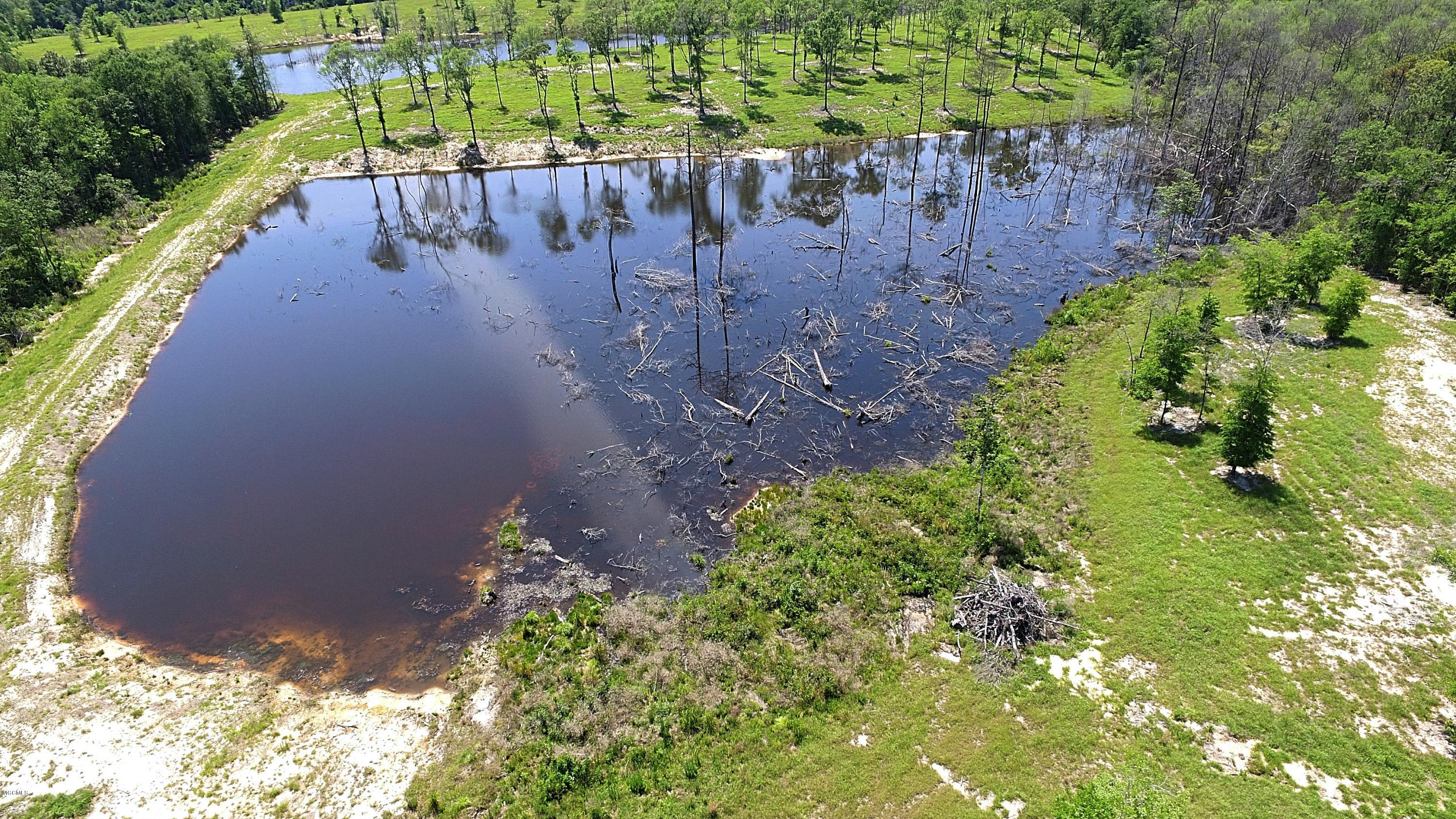 14119 Highway 98 Lucedale, MS 39452 - Photo 21 of 33 DJI_0003_Fotor