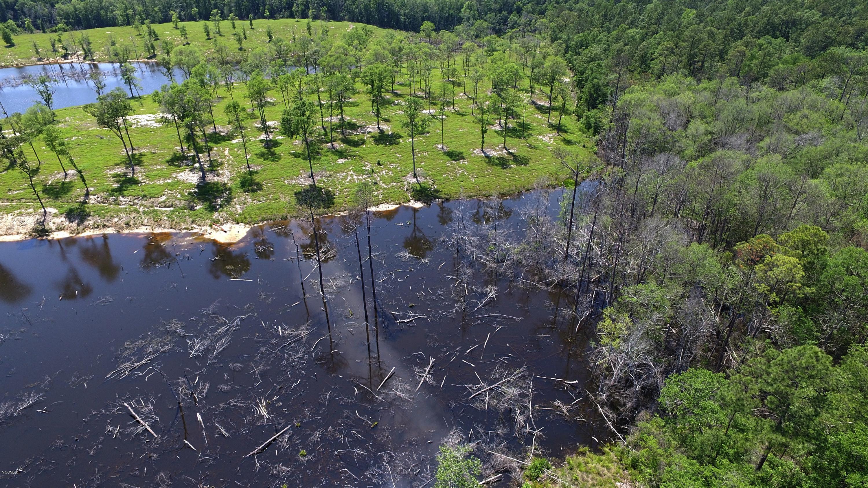 14119 Highway 98 Lucedale, MS 39452 - Photo 22 of 33 DJI_0007_Fotor