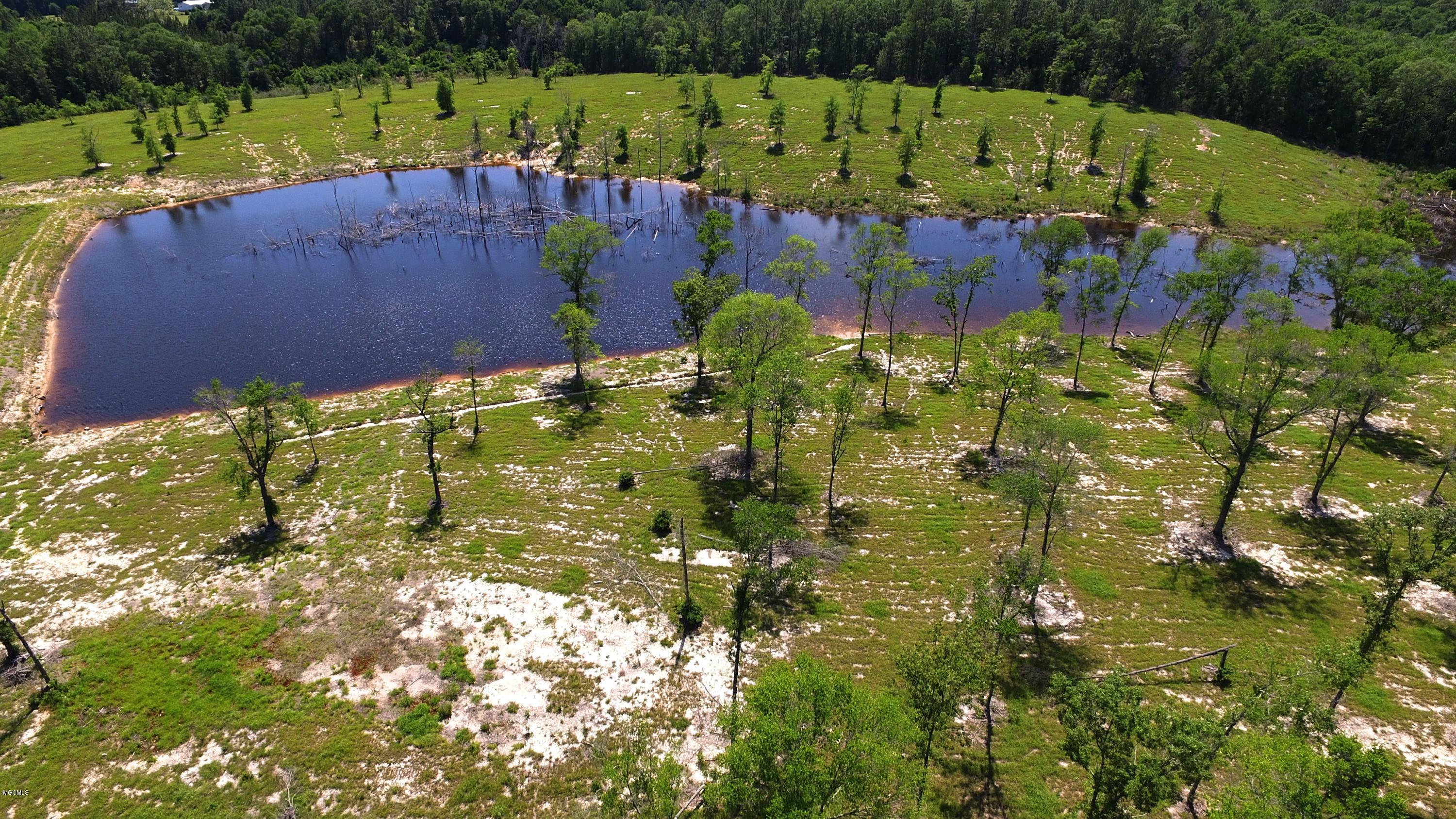 14119 Highway 98 Lucedale, MS 39452 - Photo 23 of 33 DJI_0011_Fotor