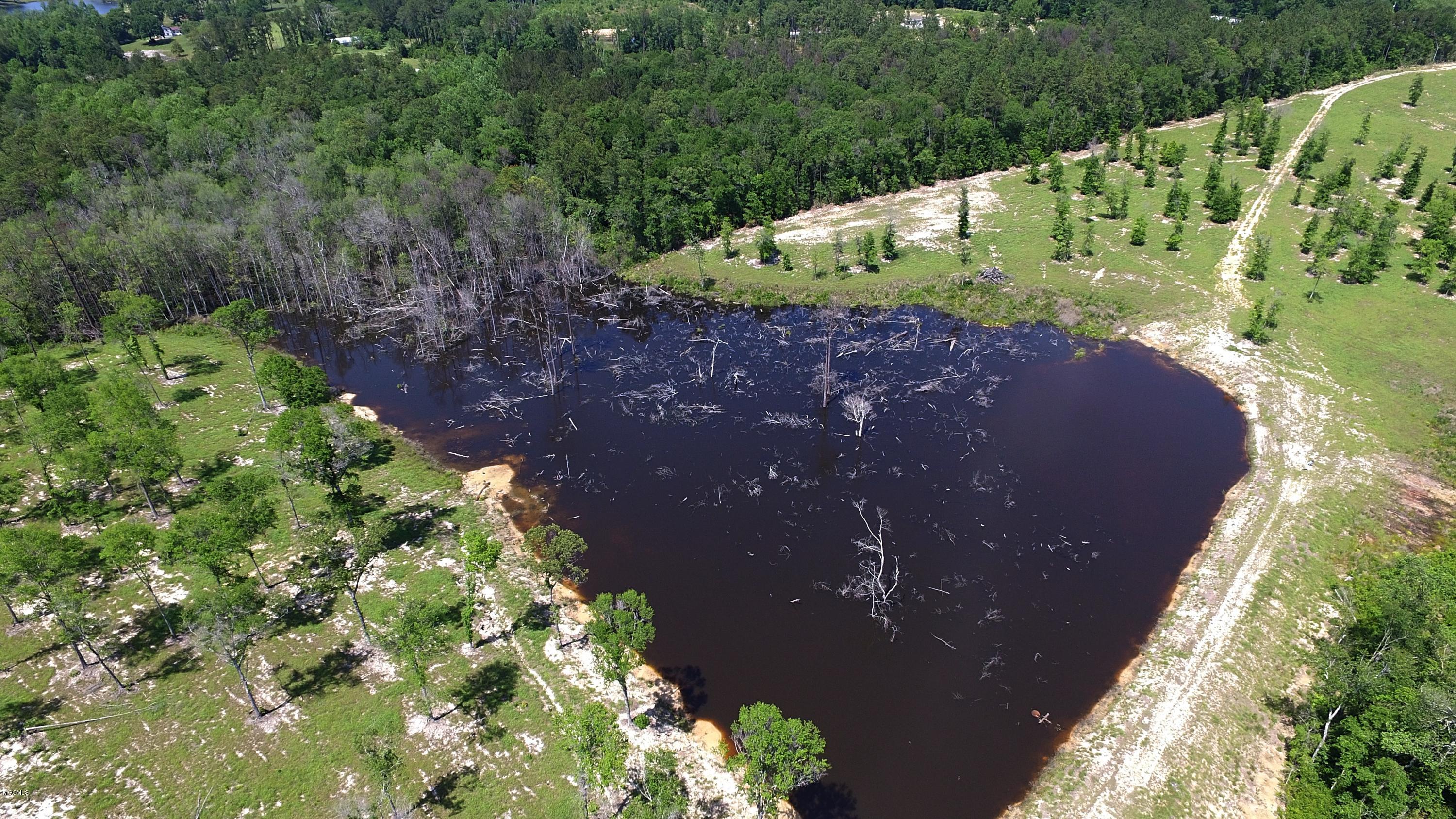 14119 Highway 98 Lucedale, MS 39452 - Photo 24 of 33 DJI_0013_Fotor