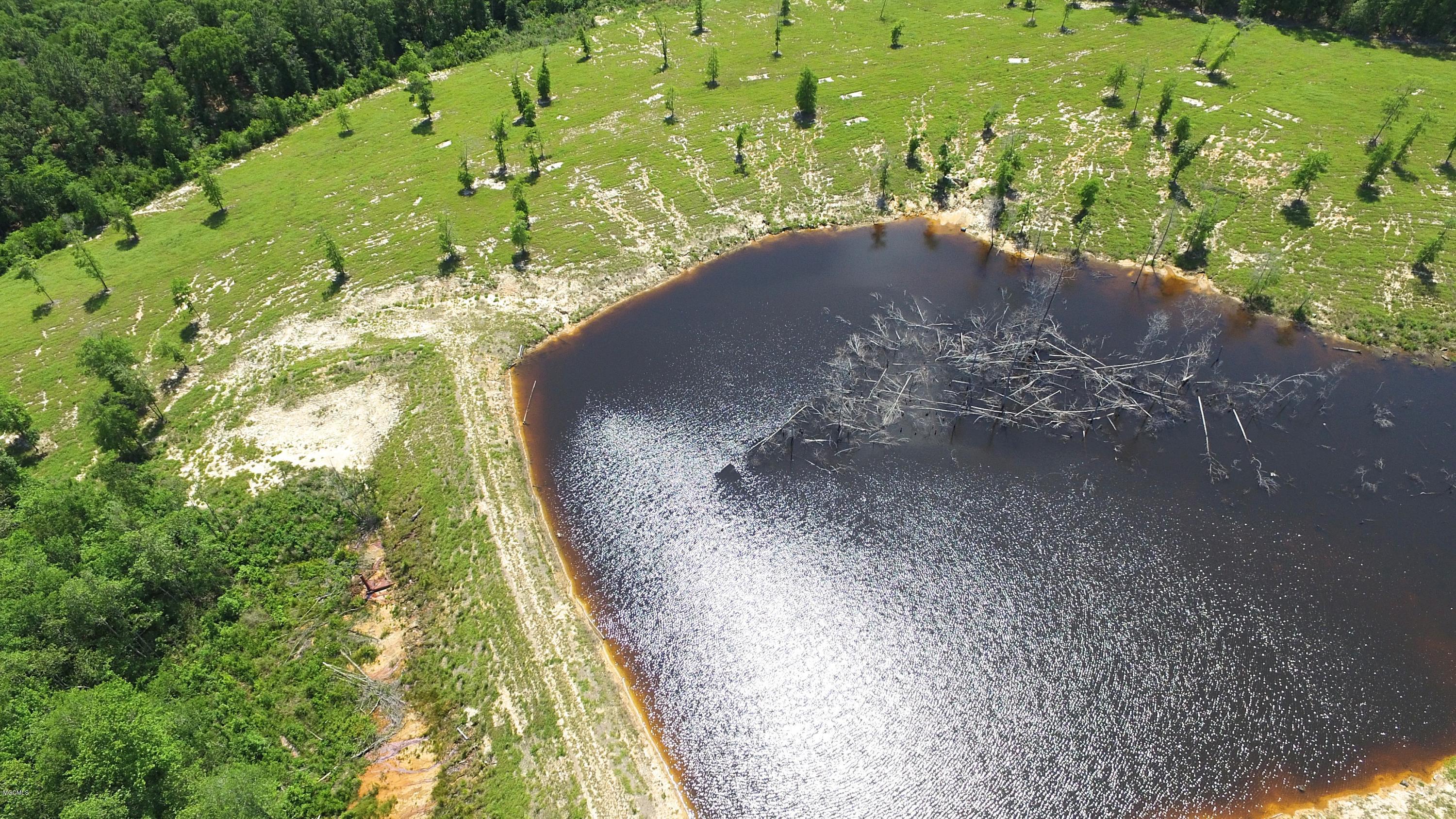 14119 Highway 98 Lucedale, MS 39452 - Photo 25 of 33 DJI_0015_Fotor