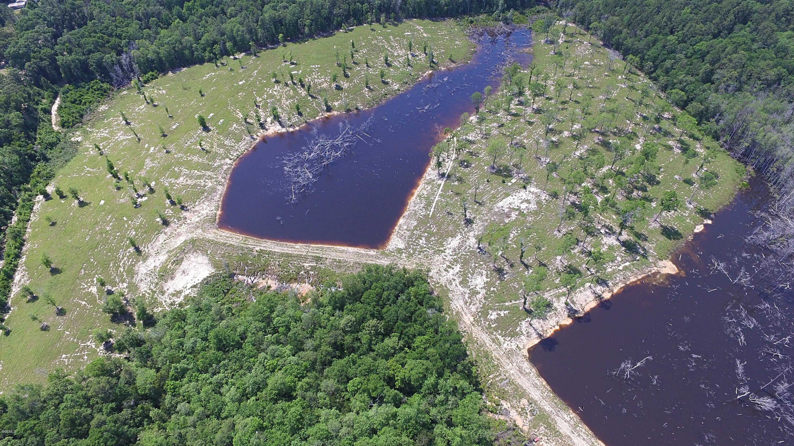 14119 Highway 98 Lucedale, MS 39452 - Photo 26 of 33 DJI_0020_Fotor