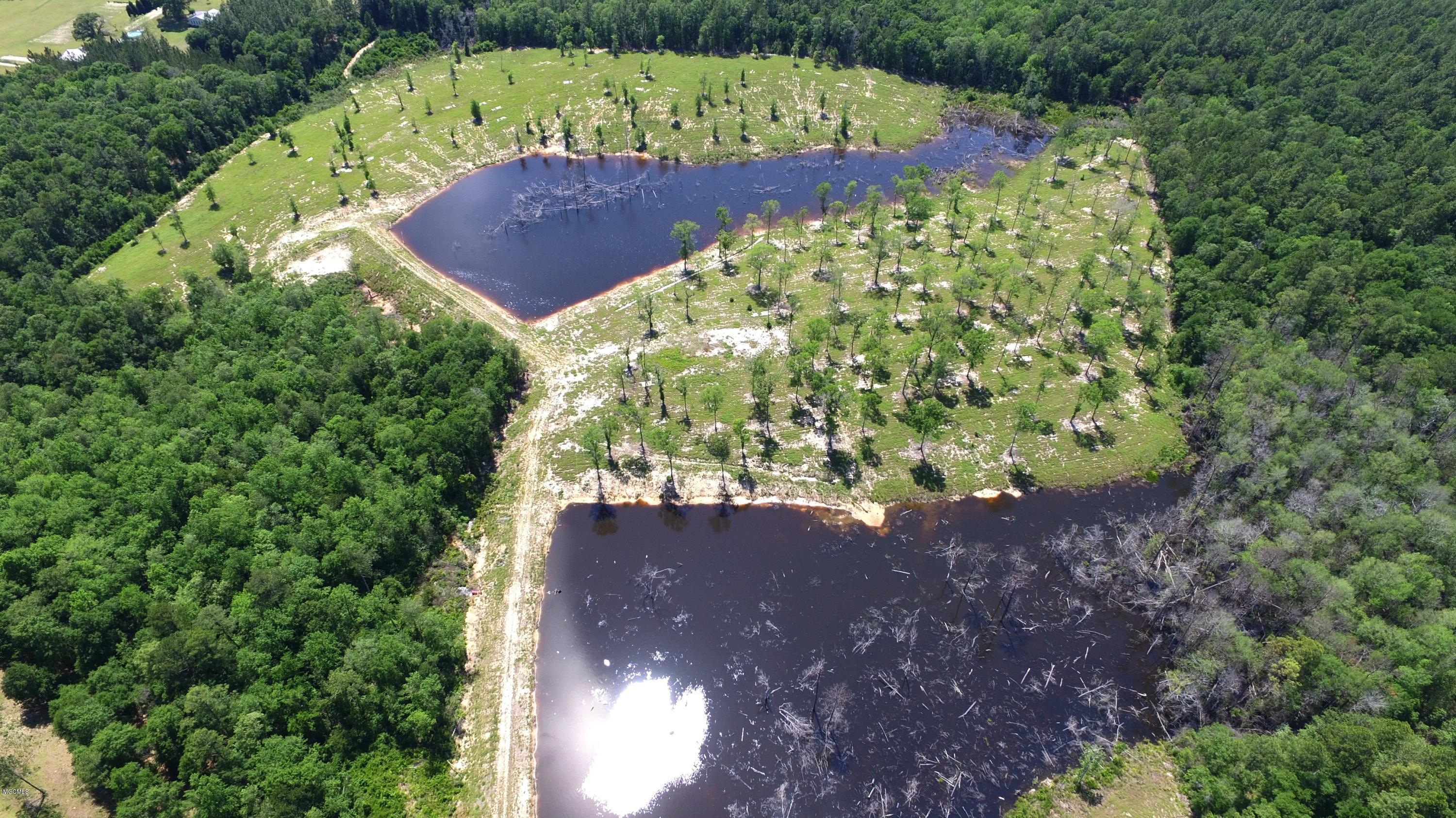 14119 Highway 98 Lucedale, MS 39452 - Photo 27 of 33 DJI_0025_Fotor