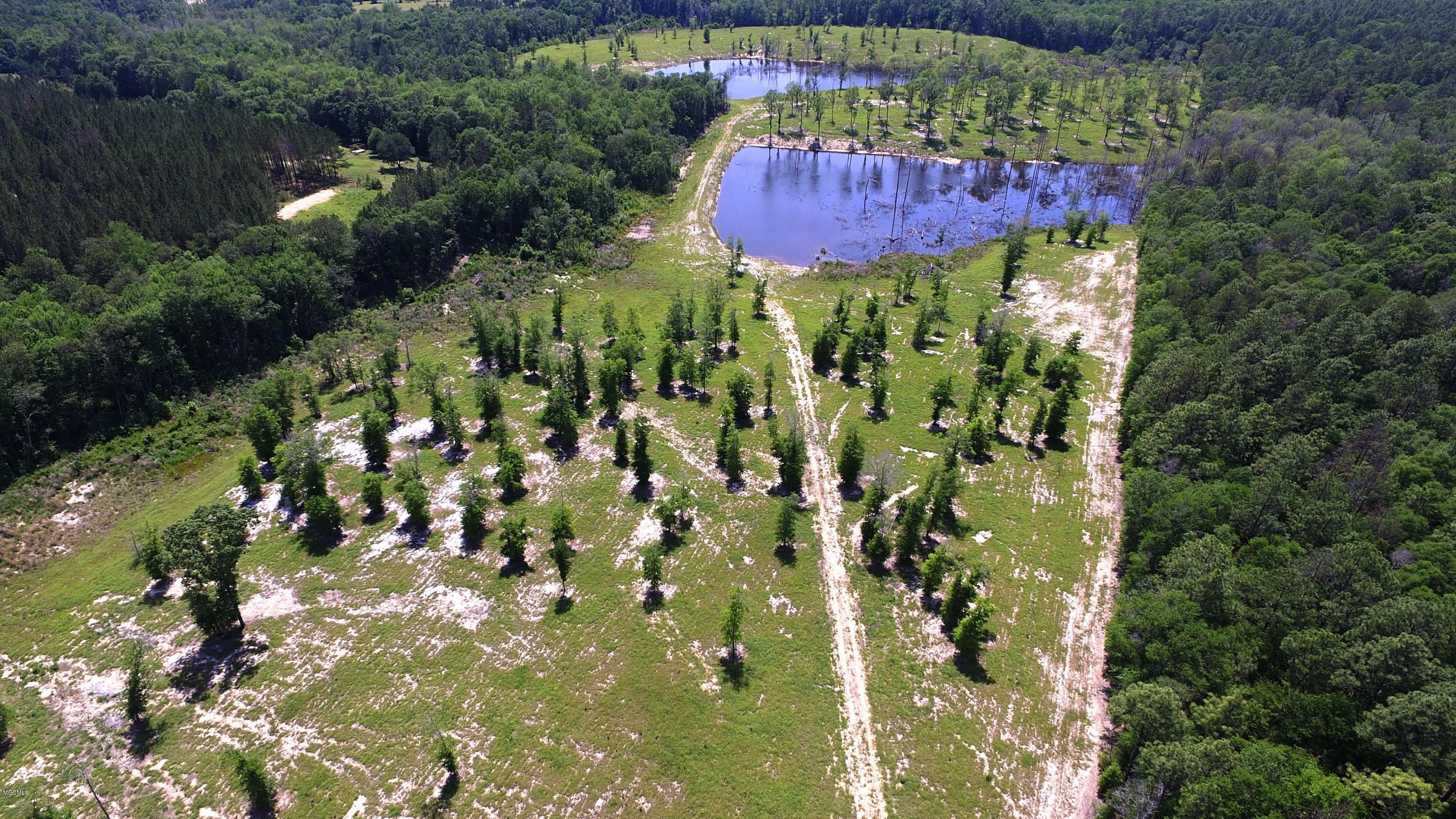 14119 Highway 98 Lucedale, MS 39452 - Photo 28 of 33 DJI_0042_Fotor