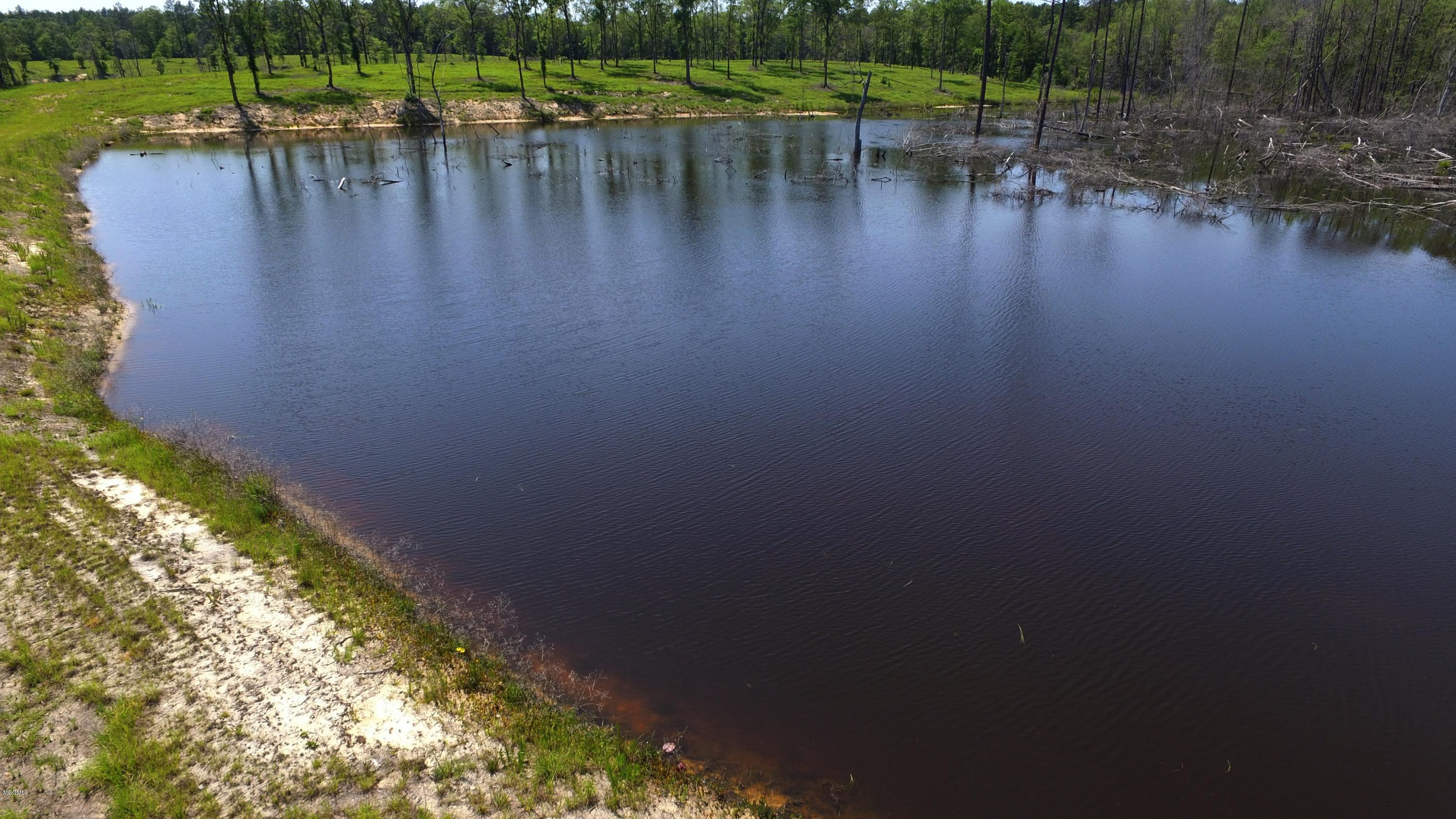 14119 Highway 98 Lucedale, MS 39452 - Photo 29 of 33 DJI_0044_Fotor