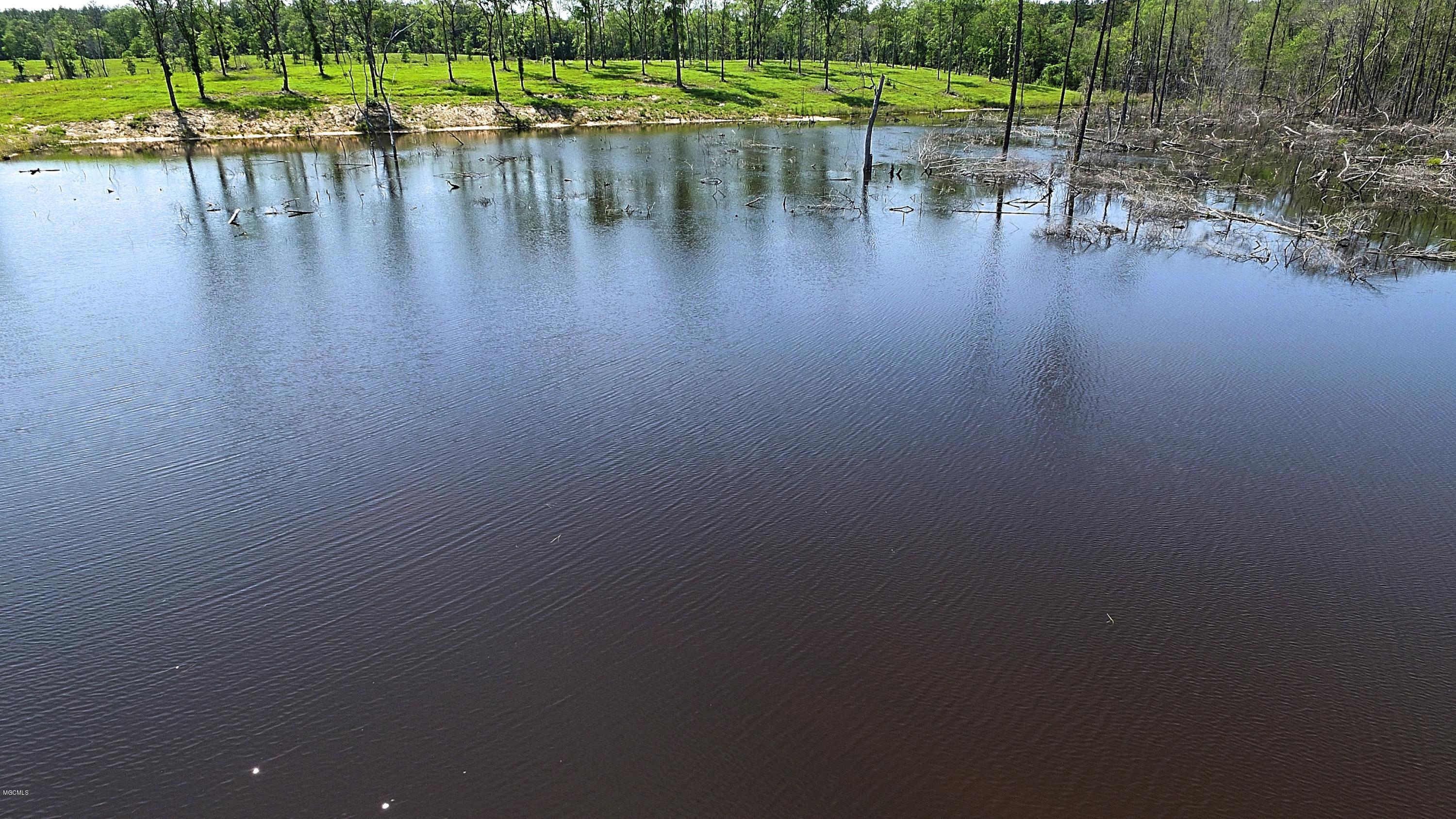 14119 Highway 98 Lucedale, MS 39452 - Photo 30 of 33 DJI_0045_Fotor