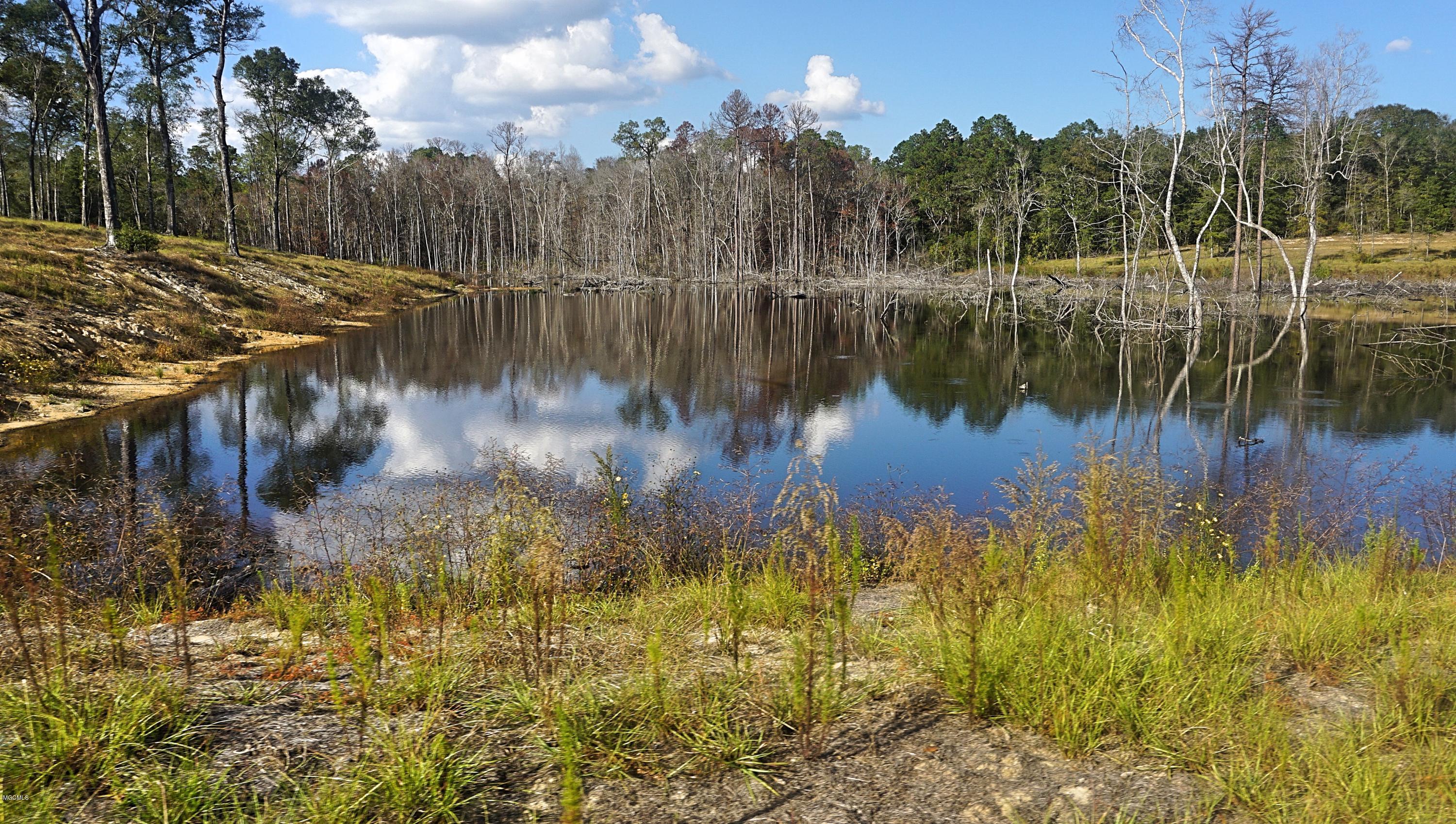 14119 Highway 98 Lucedale, MS 39452 - Photo 3 of 33 DSC02698_Fotor