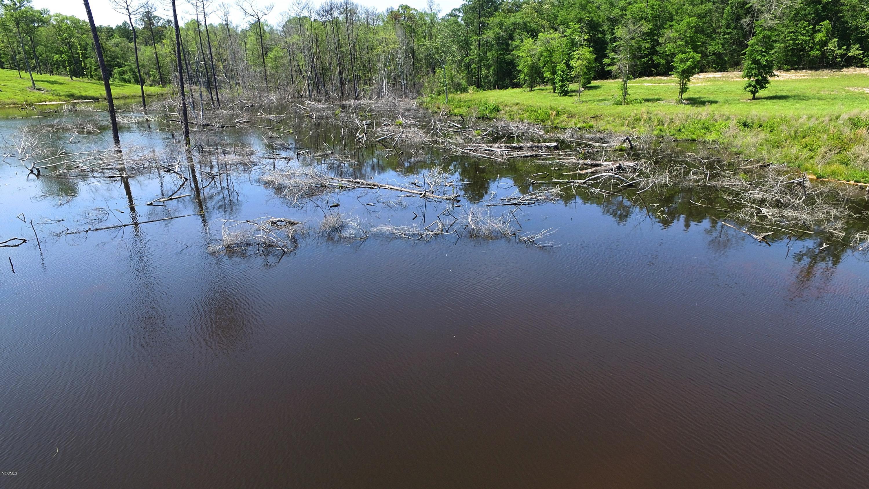 14119 Highway 98 Lucedale, MS 39452 - Photo 31 of 33 DJI_0046_Fotor