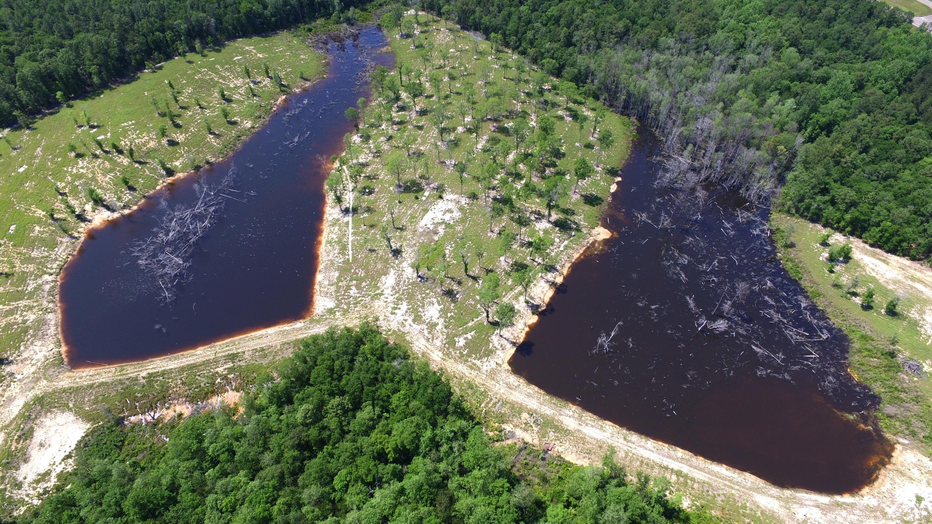 14119 Highway 98 Lucedale, MS 39452 - Photo 4 of 33 DJI_0019_Fotor