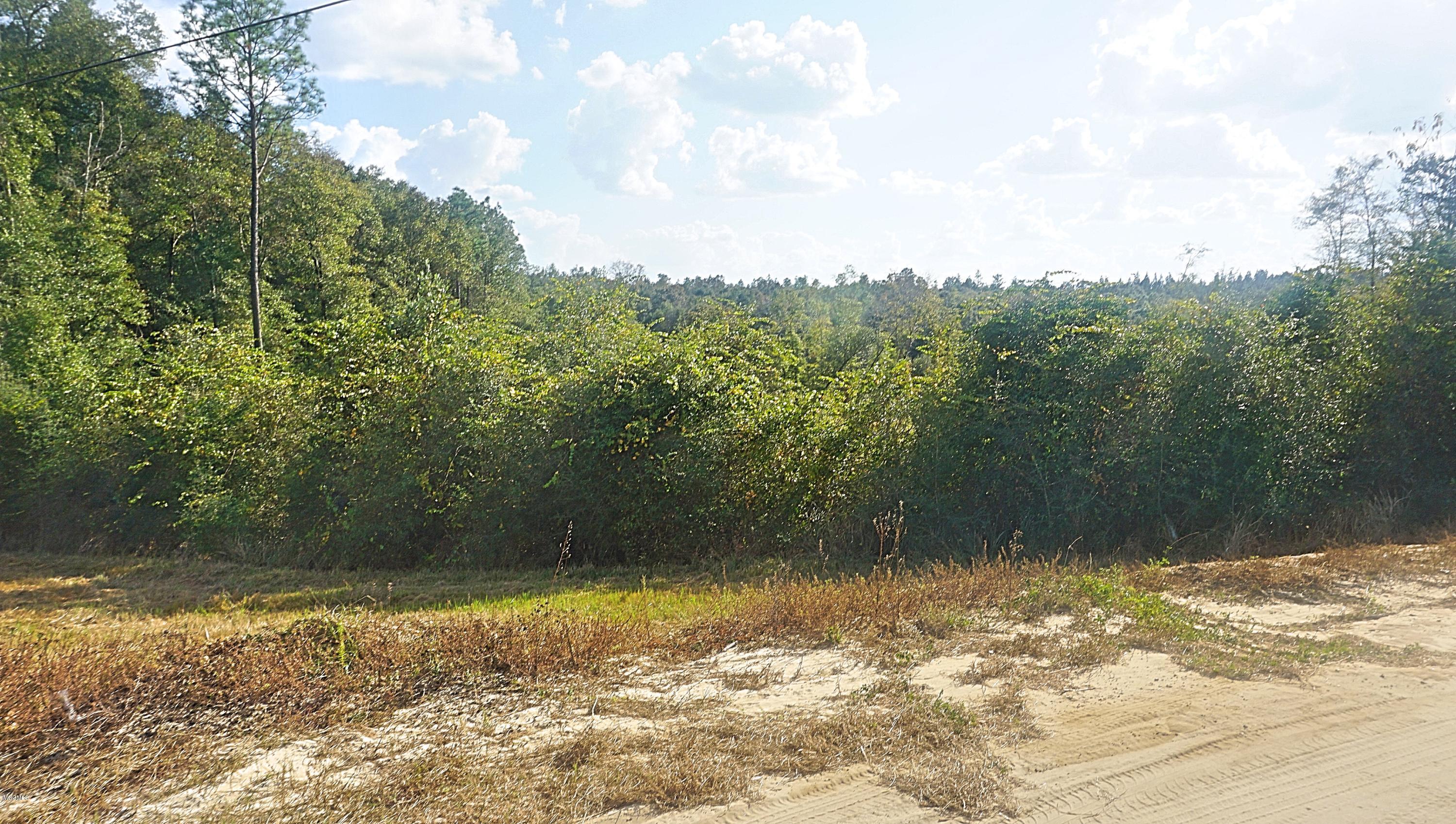 14119 Highway 98 Lucedale, MS 39452 - Photo 5 of 33 DSC02686_Fotor