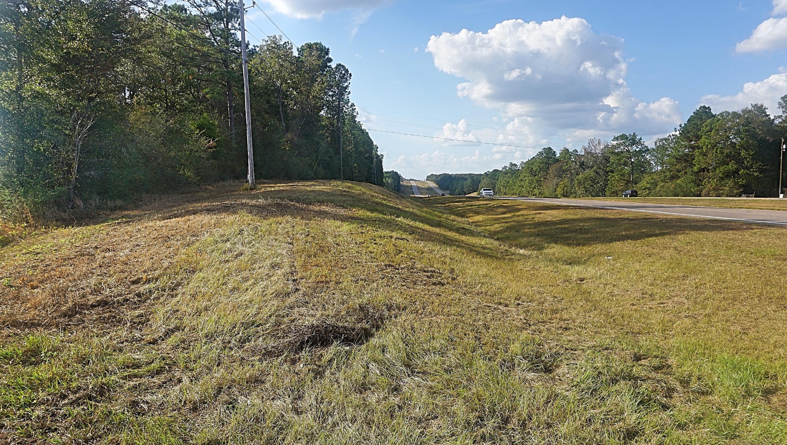 14119 Highway 98 Lucedale, MS 39452 - Photo 6 of 33 DSC02687_Fotor