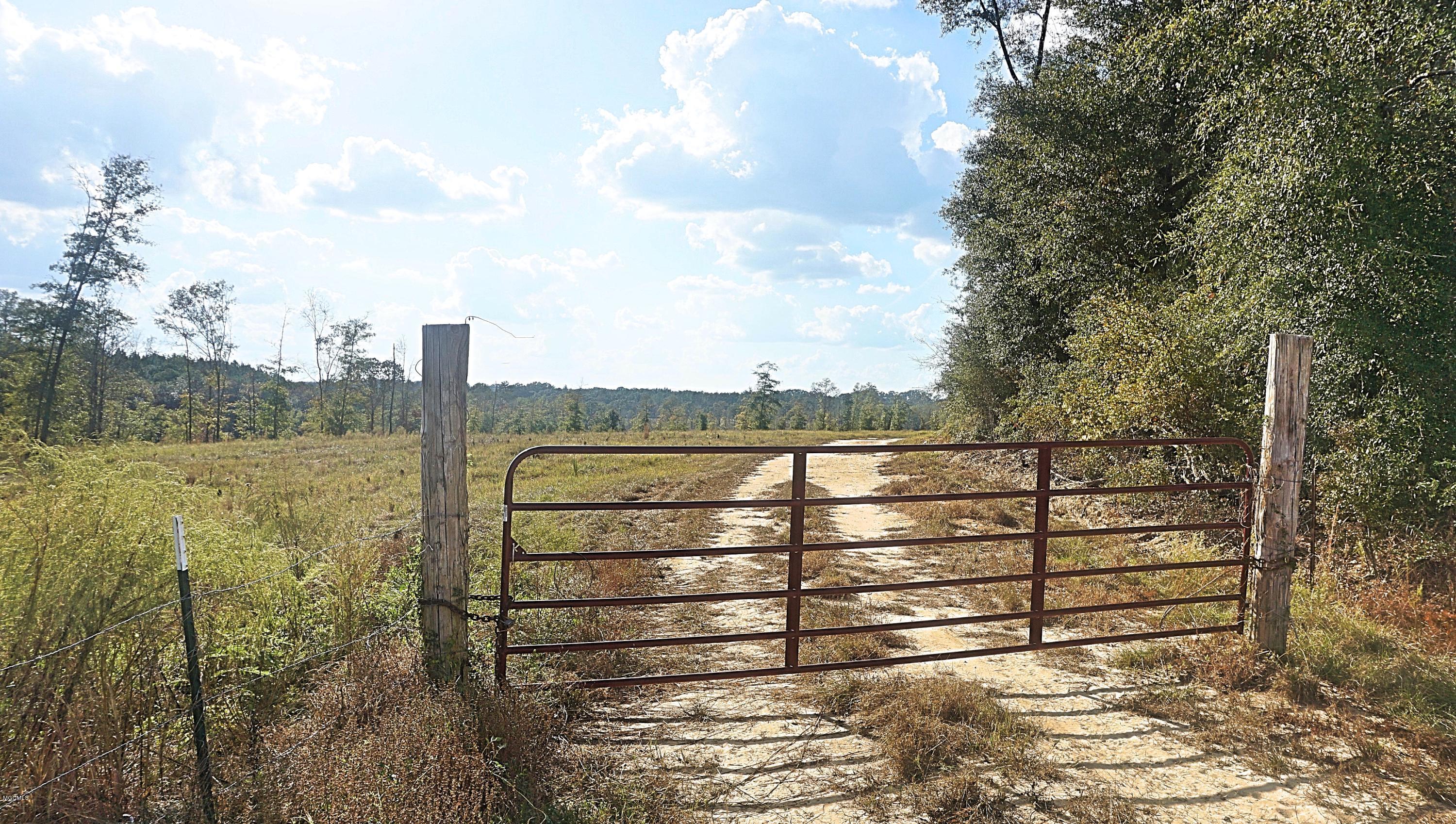 14119 Highway 98 Lucedale, MS 39452 - Photo 7 of 33 DSC02688_Fotor