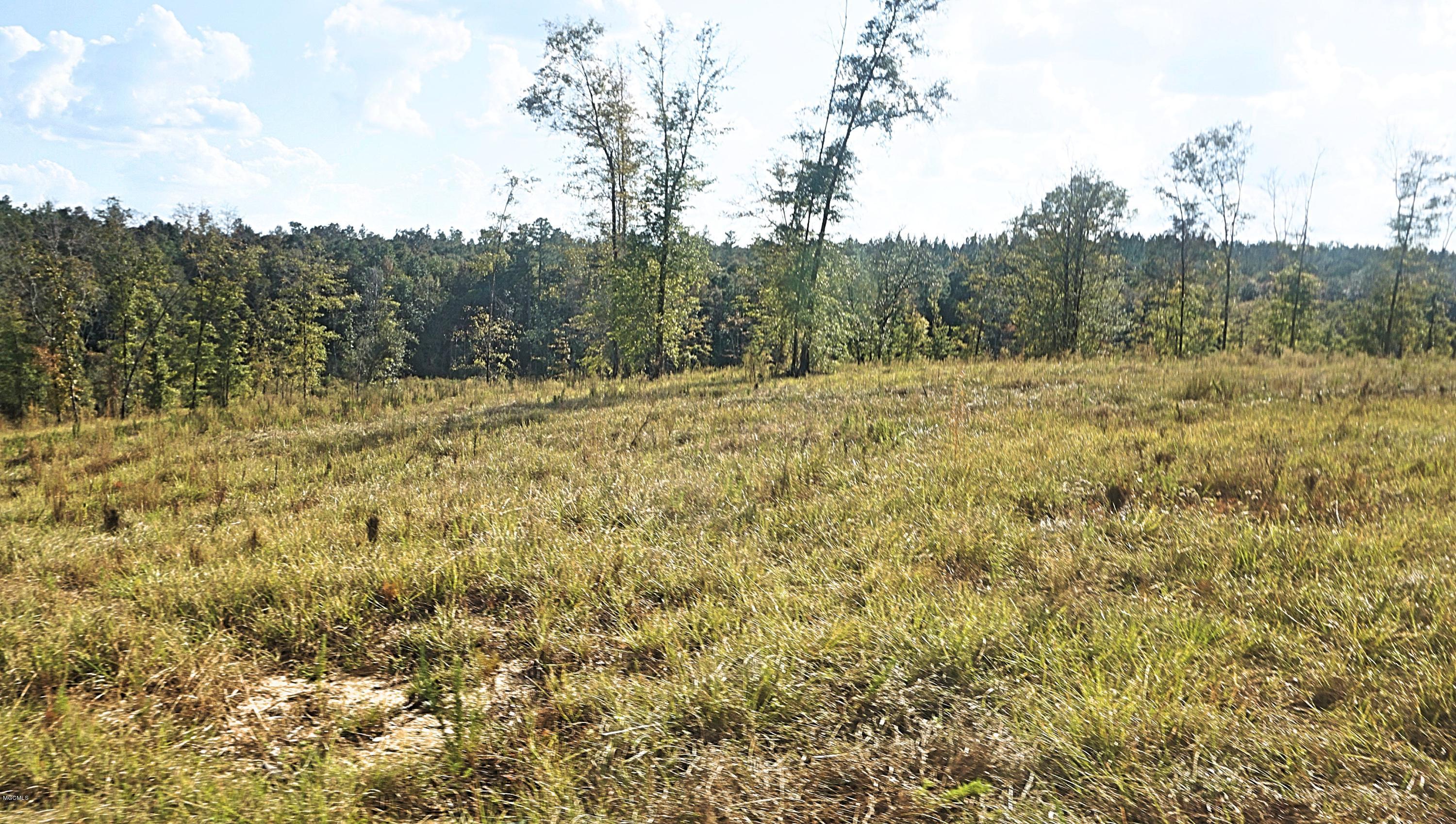 14119 Highway 98 Lucedale, MS 39452 - Photo 8 of 33 DSC02689_Fotor