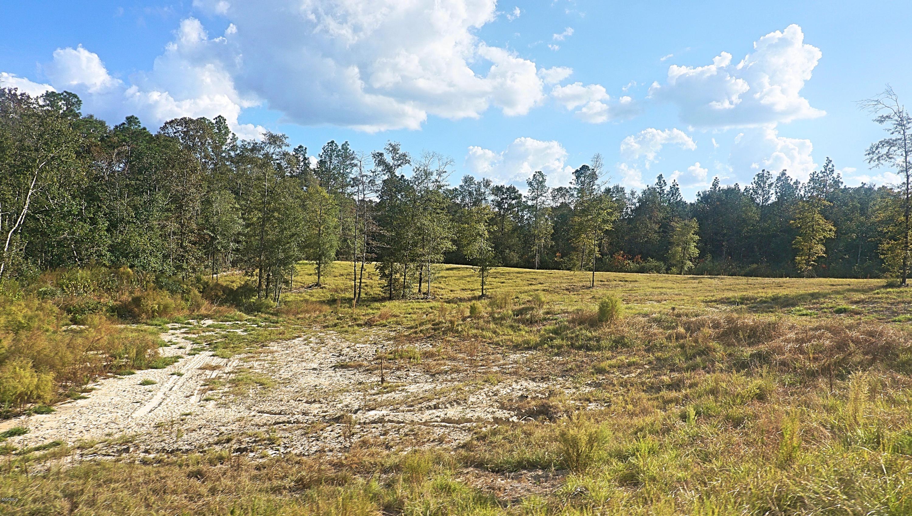 14119 Highway 98 Lucedale, MS 39452 - Photo 10 of 33 DSC02691_Fotor