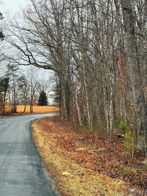 0 Forest Chapel Road Pamplin, VA 23958 - Photo 3 of 4