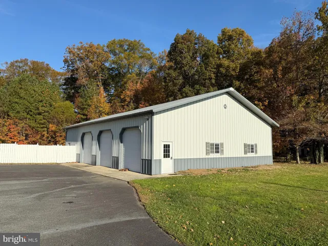 a view of a backyard with plants and large trees