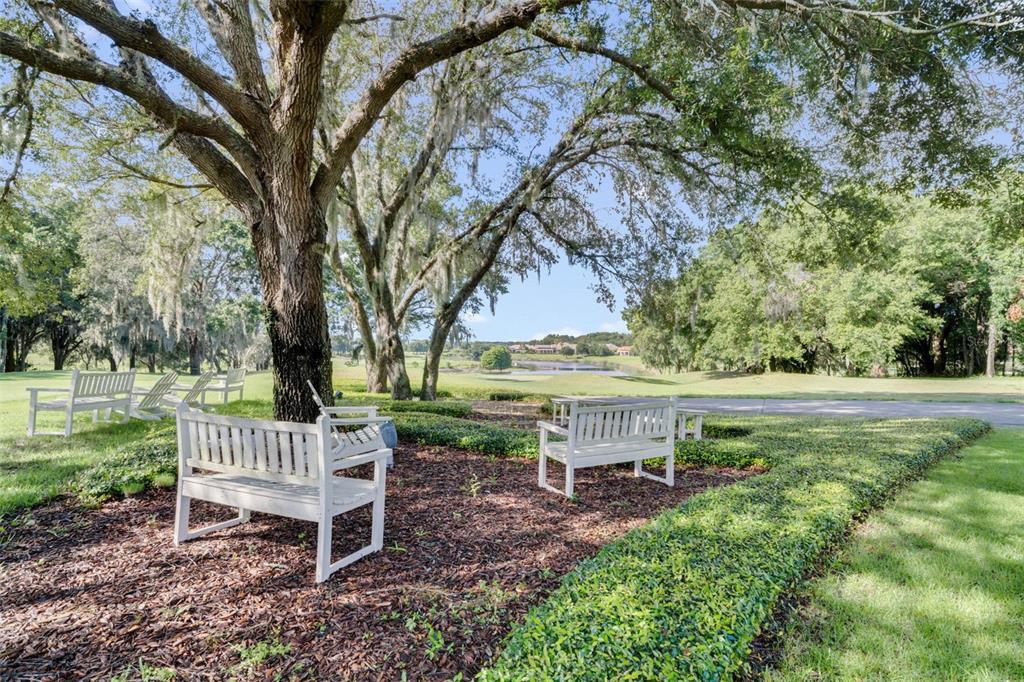 26027 Estates Ridge Drive Sorrento, FL 32776 - Photo 14 of 20 a view of backyard with sitting area
