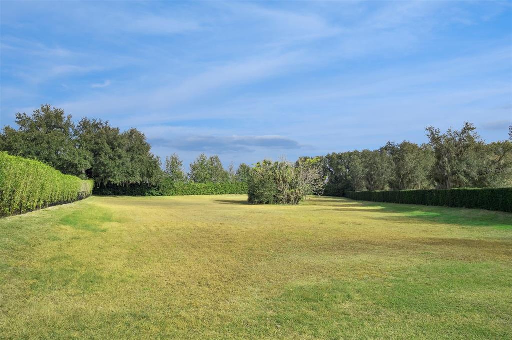 26027 Estates Ridge Drive Sorrento, FL 32776 - Photo 3 of 20 a view of a field with an ocean