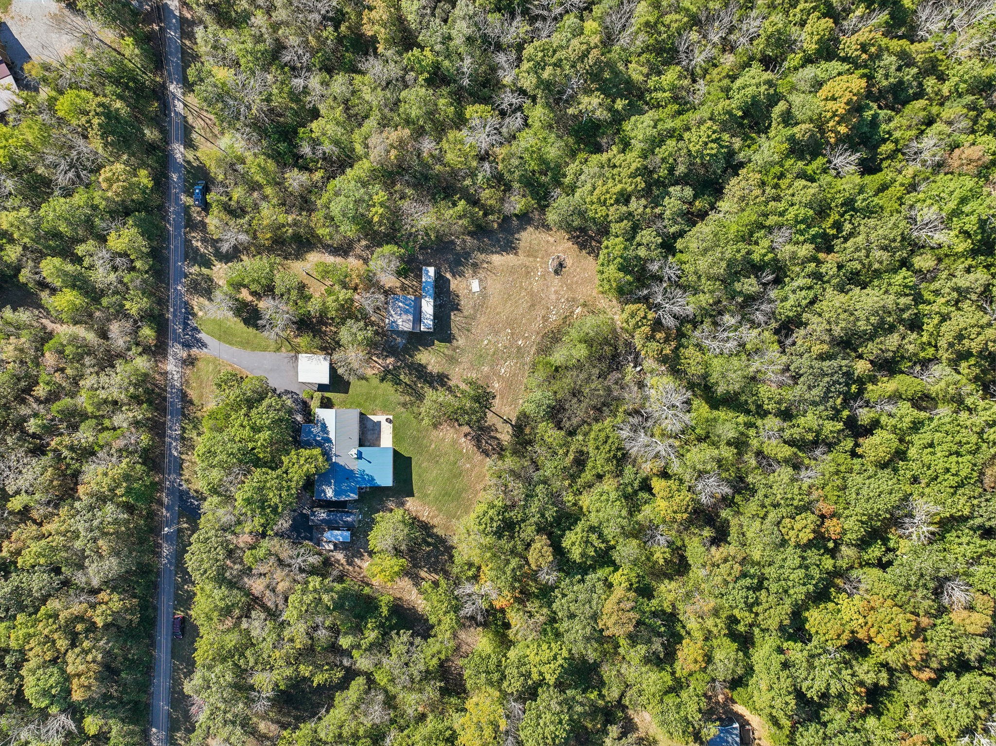 441 Scruggs Hollow Road Rockvale, TN 37153 - Photo 40 of 44 Enjoy the freedom to hunt on your own land, making the most of the natural surroundings and wildlife right at your doorstep! 441 Scruggs Hollow Rd Rockvale, TN 37153