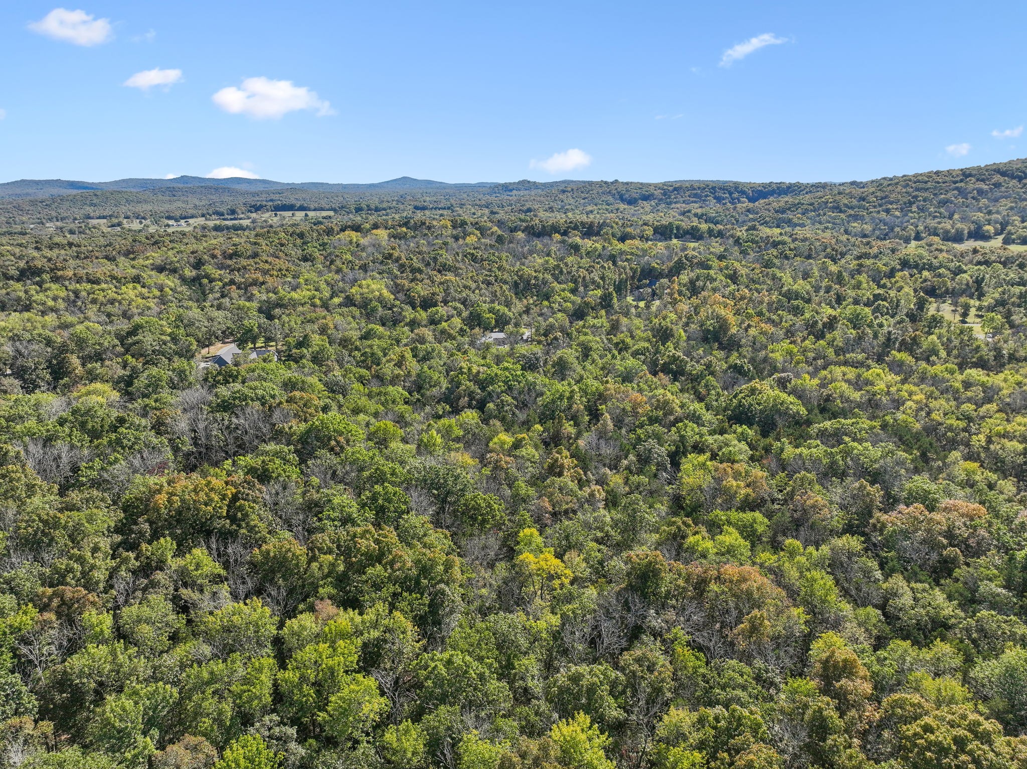 441 Scruggs Hollow Road Rockvale, TN 37153 - Photo 41 of 44 Beautiful wooded property! 441 Scruggs Hollow Rd Rockvale, TN 37153