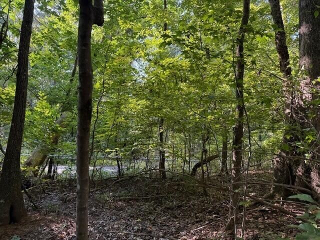 5 Mullins Cove Road Whitwell, TN 37397 - Photo 9 of 16 Gallery Image 9
